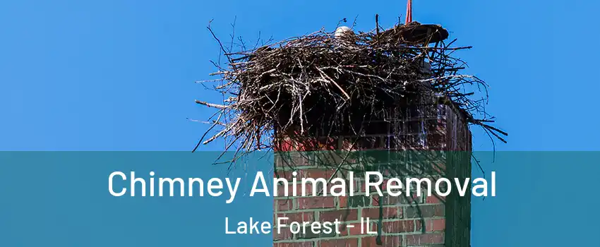  Chimney Animal Removal Lake Forest - IL