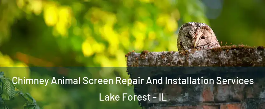  Chimney Animal Screen Repair And Installation Services Lake Forest - IL