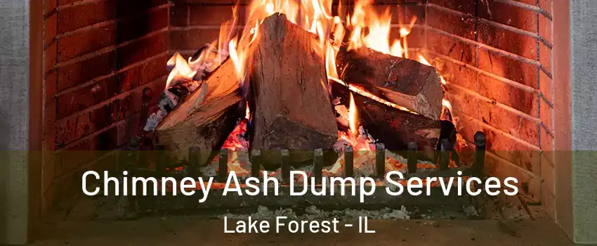  Chimney Ash Dump Services Lake Forest - IL
