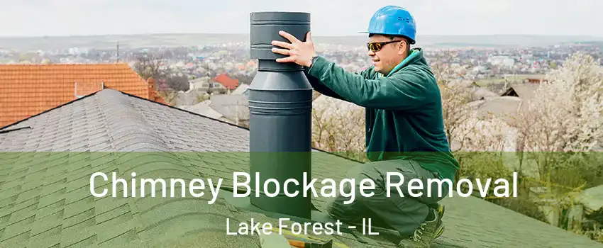  Chimney Blockage Removal Lake Forest - IL