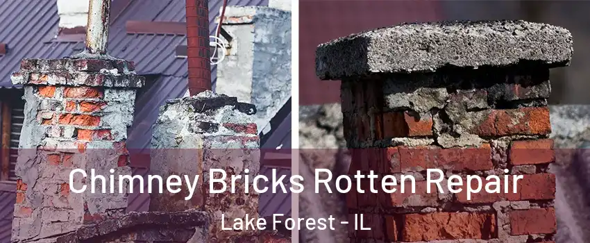  Chimney Bricks Rotten Repair Lake Forest - IL