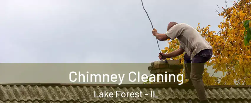  Chimney Cleaning Lake Forest - IL