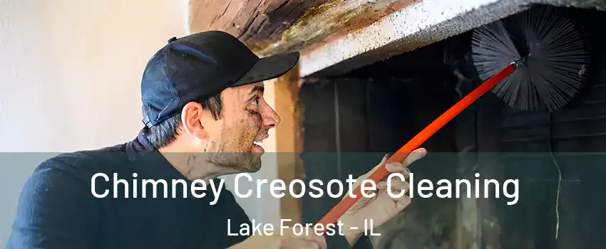  Chimney Creosote Cleaning Lake Forest - IL
