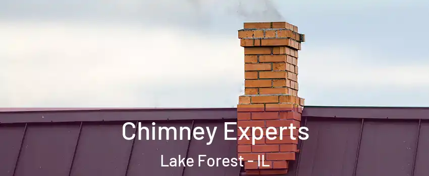  Chimney Experts Lake Forest - IL