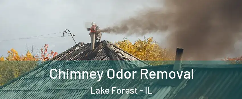  Chimney Odor Removal Lake Forest - IL