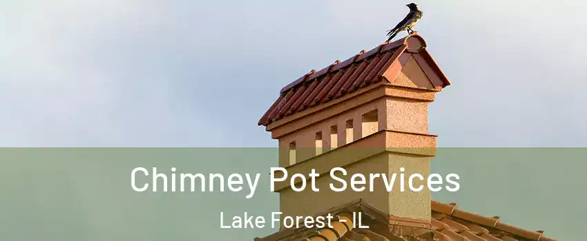  Chimney Pot Services Lake Forest - IL