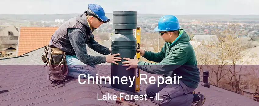  Chimney Repair Lake Forest - IL