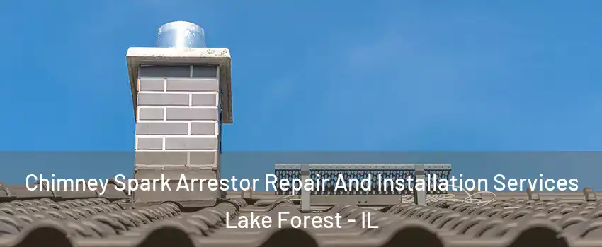  Chimney Spark Arrestor Repair And Installation Services Lake Forest - IL