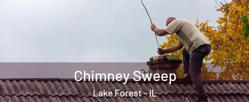  Chimney Sweep Lake Forest - IL