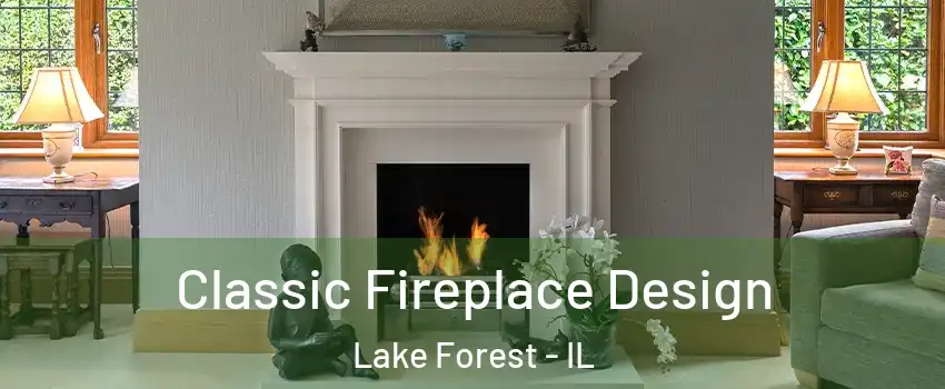  Classic Fireplace Design Lake Forest - IL