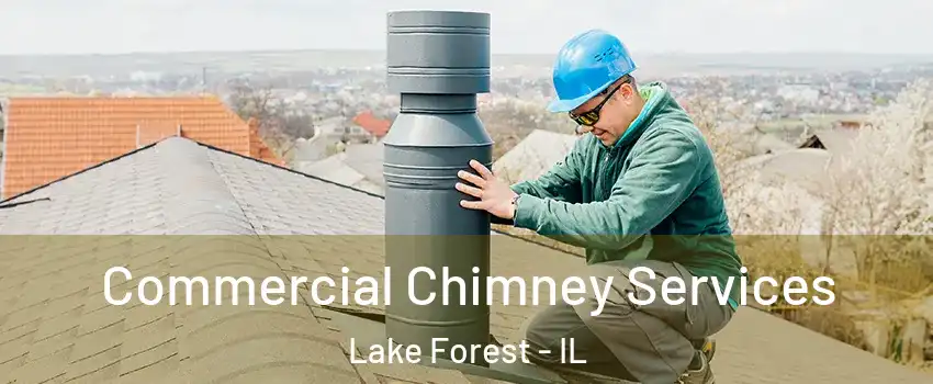  Commercial Chimney Services Lake Forest - IL