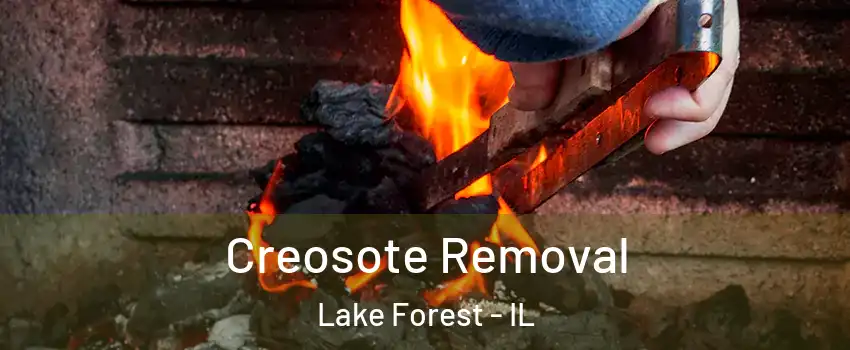  Creosote Removal Lake Forest - IL