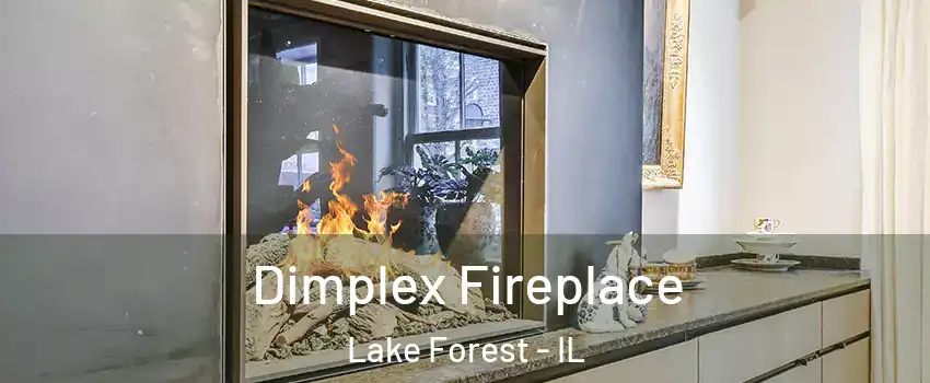  Dimplex Fireplace Lake Forest - IL