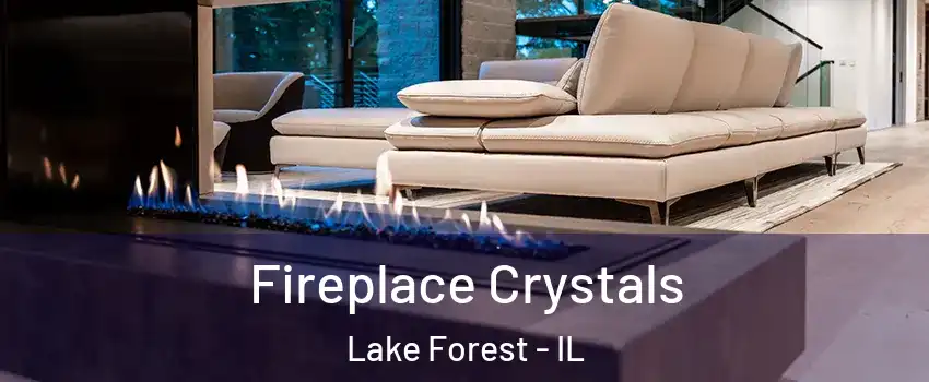  Fireplace Crystals Lake Forest - IL