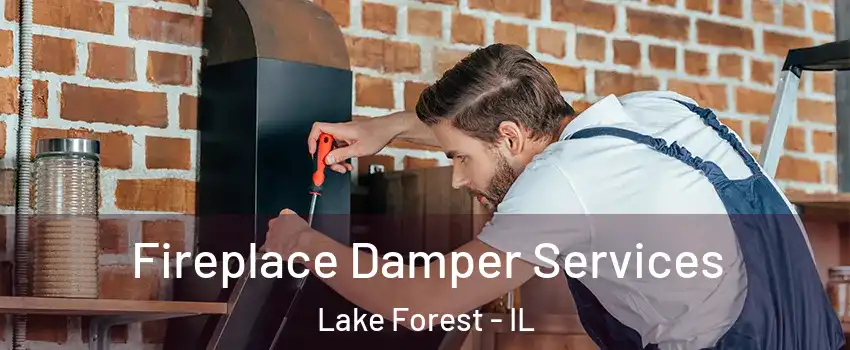  Fireplace Damper Services Lake Forest - IL