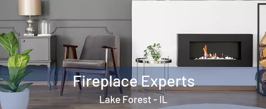  Fireplace Experts Lake Forest - IL