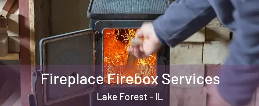  Fireplace Firebox Services Lake Forest - IL