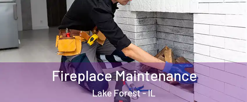  Fireplace Maintenance Lake Forest - IL