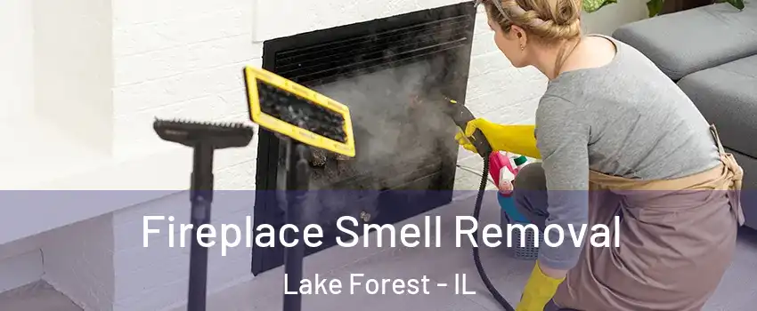  Fireplace Smell Removal Lake Forest - IL