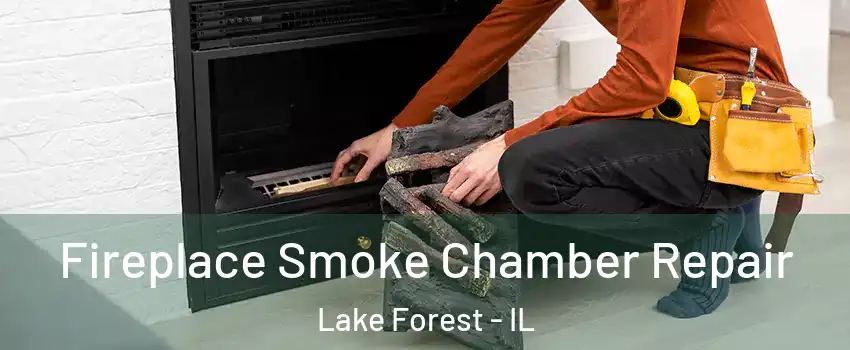  Fireplace Smoke Chamber Repair Lake Forest - IL