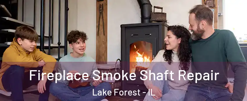  Fireplace Smoke Shaft Repair Lake Forest - IL