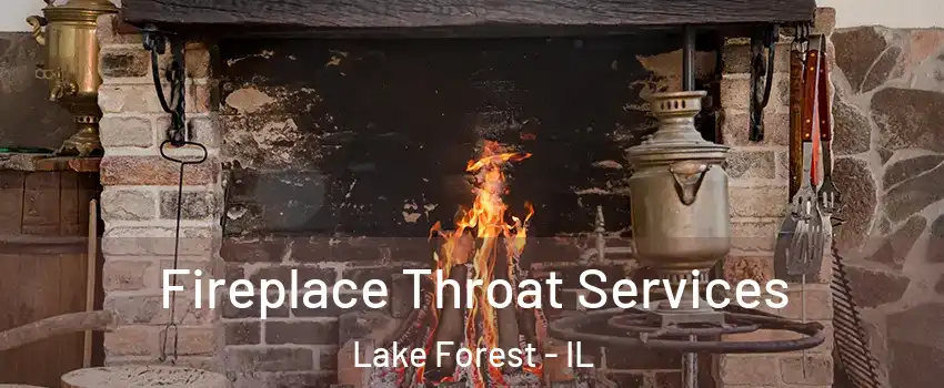  Fireplace Throat Services Lake Forest - IL