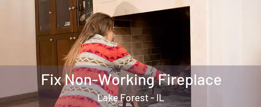  Fix Non-Working Fireplace Lake Forest - IL