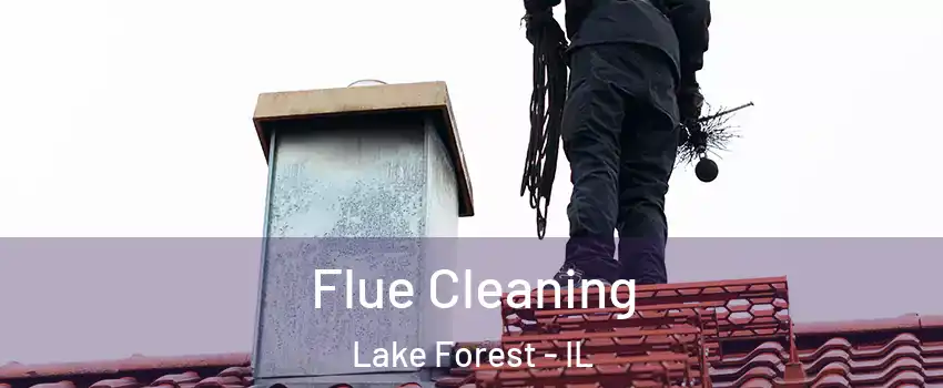  Flue Cleaning Lake Forest - IL