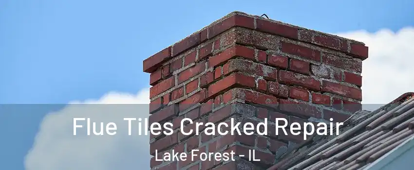  Flue Tiles Cracked Repair Lake Forest - IL