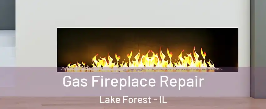  Gas Fireplace Repair Lake Forest - IL
