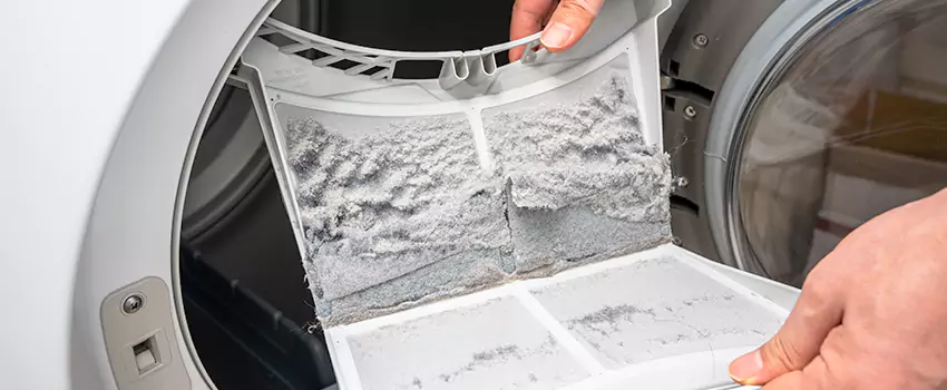 Best Dryer Lint Removal Company in Lake Forest, Illinois