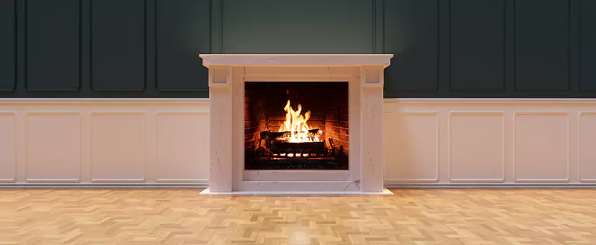 Napoleon Electric Fireplaces Inspection Service in Lake Forest, Illinois