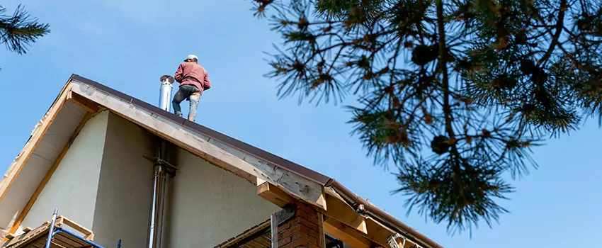 Birds Removal Contractors from Chimney in Lake Forest, IL