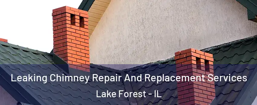  Leaking Chimney Repair And Replacement Services Lake Forest - IL