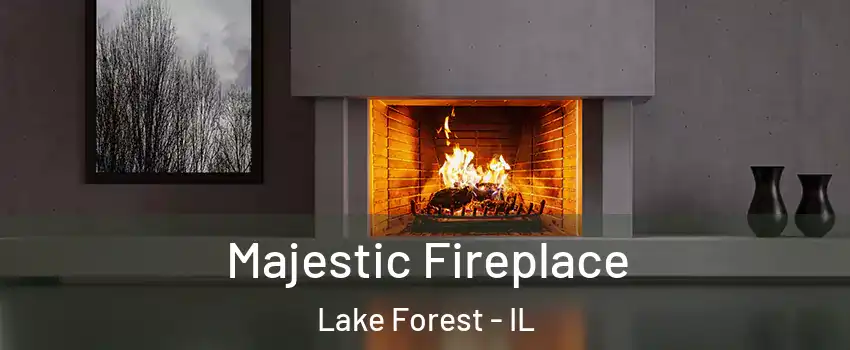  Majestic Fireplace Lake Forest - IL