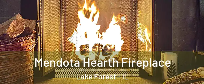  Mendota Hearth Fireplace Lake Forest - IL