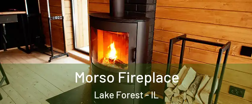  Morso Fireplace Lake Forest - IL
