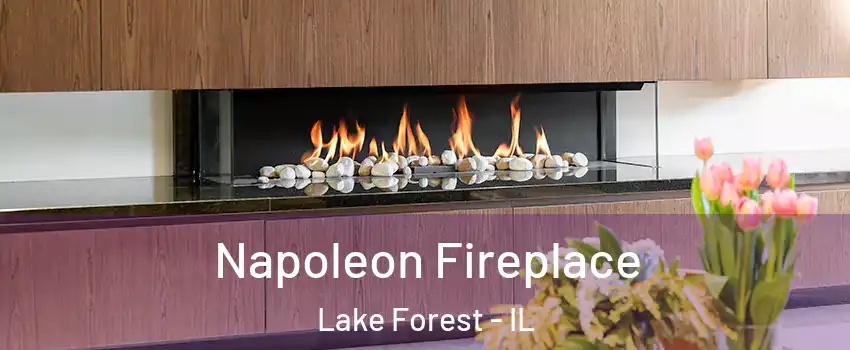  Napoleon Fireplace Lake Forest - IL