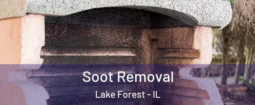  Soot Removal Lake Forest - IL