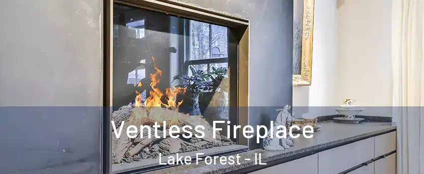  Ventless Fireplace Lake Forest - IL
